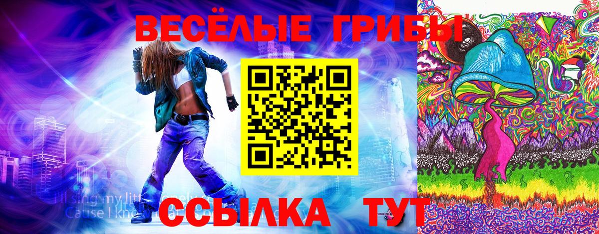 Псилоцибиновые грибы Magic Shrooms Вологда